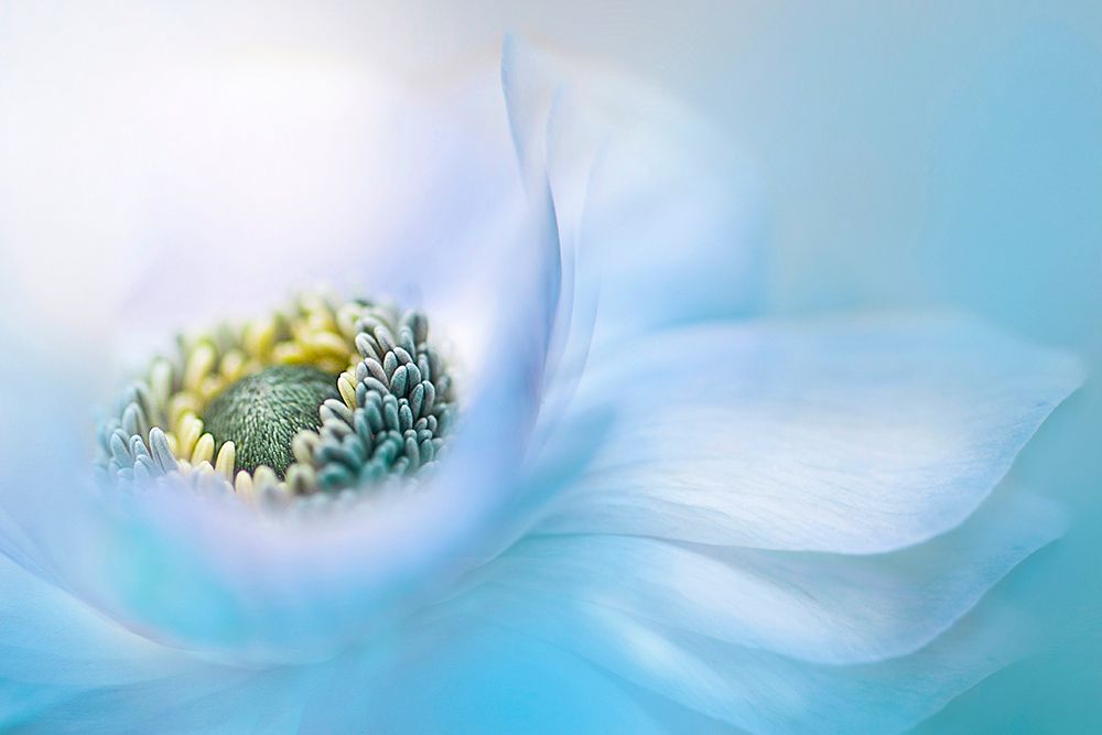 Flow art print by Jacky Parker for $57.95 CAD
