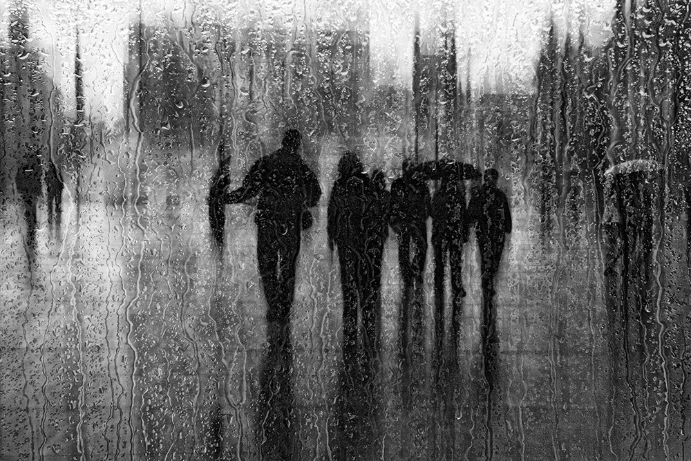 After The Rain art print by Roswitha Schleicher-Schwarz for $57.95 CAD