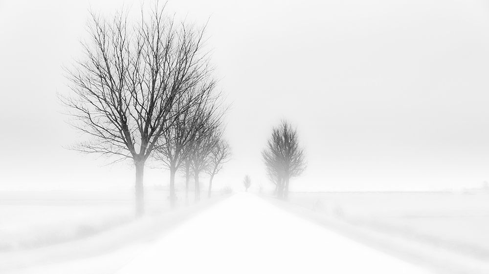 My Tiny World art print by Jacob Tuinenga for $57.95 CAD