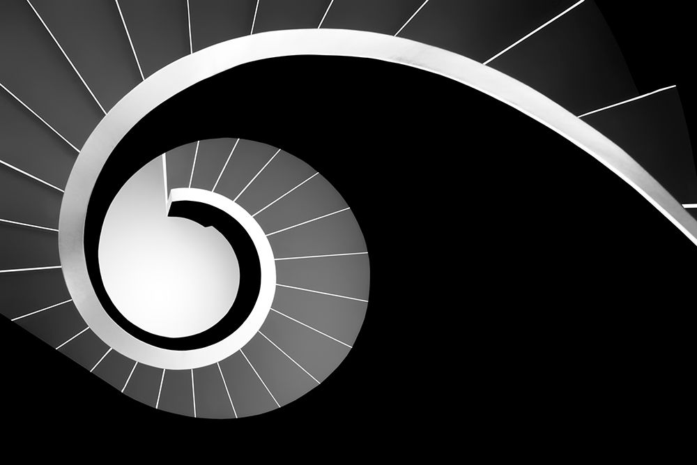 Big Jet Plane art print by Paulo Abrantes for $57.95 CAD