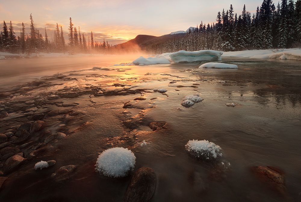 Misty Winter Morning art print by Hong Zeng for $57.95 CAD