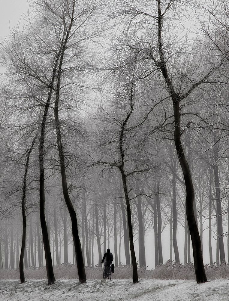 When winter knocks on the door ... art print by Yvette Depaepe for $57.95 CAD