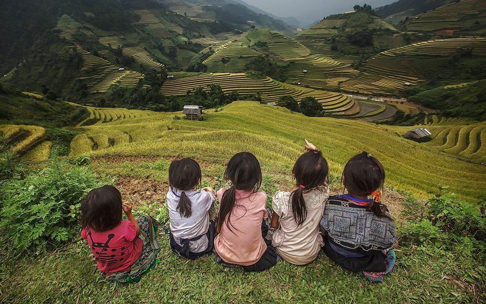 Children Of Vietnam Sitting In The Backyard The Mountain In Mu Cang Chai,Yenbai,Vietnam. art print by Jakkree Thampitakkull for $57.95 CAD