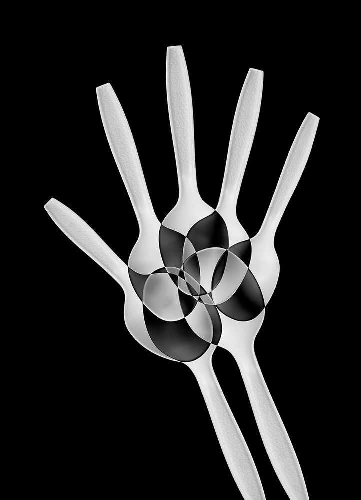 Spoons Abstract: Xray art print by Jacqueline Hammer for $57.95 CAD