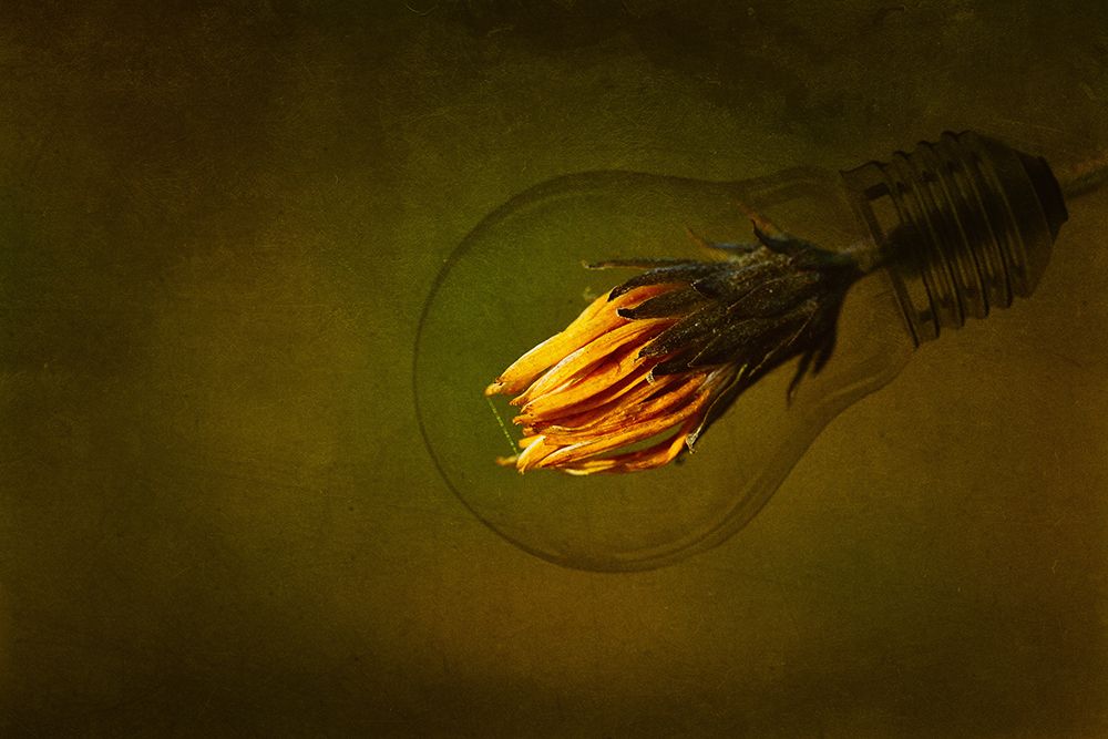 Back to the green future art print by Dusan Macko for $57.95 CAD