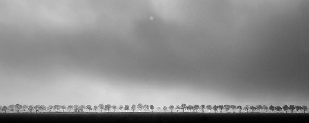 Polderlandscape art print by Huib Limberg for $57.95 CAD