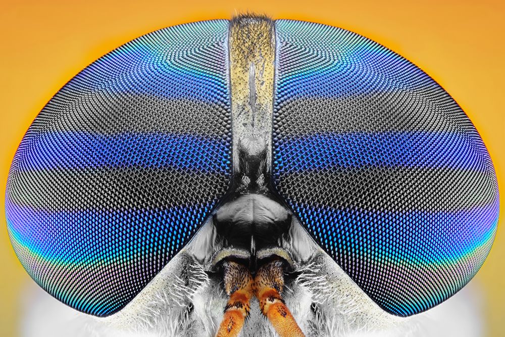Untitled art print by Donald Jusa for $57.95 CAD
