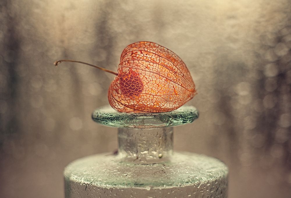 Untitled art print by Valeriya Tikhonova for $57.95 CAD