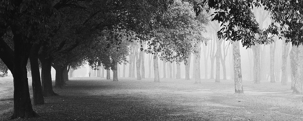 Morning Fog art print by Matteo Chiarello for $57.95 CAD