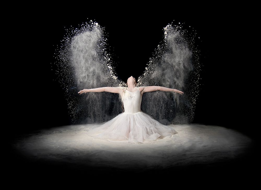 Flour Wings art print by Pauline Pentony MA for $57.95 CAD