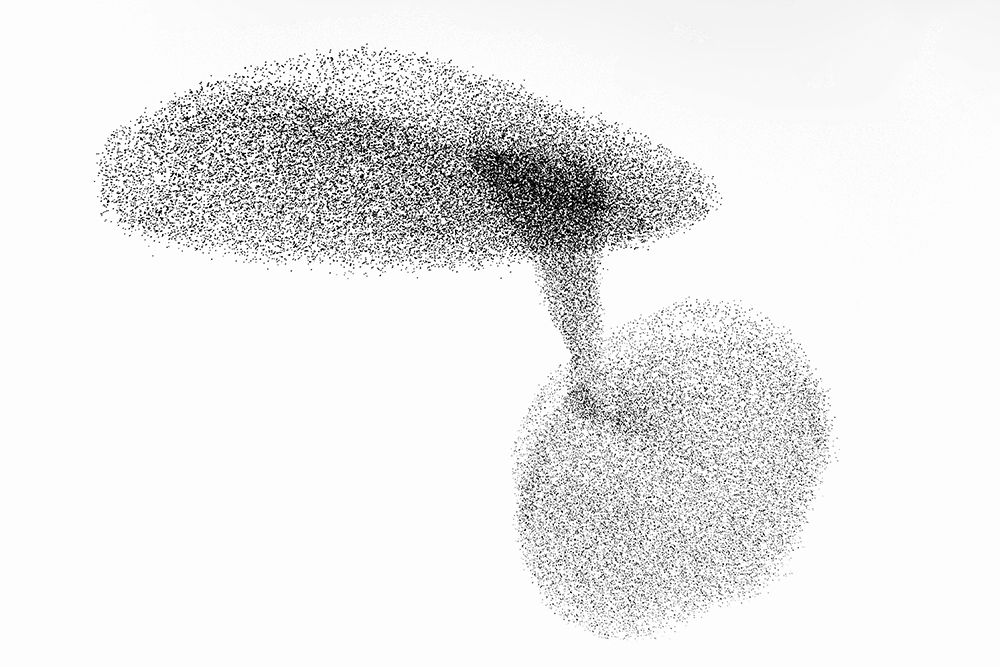 Starlings Dance art print by Joan Gil Raga for $57.95 CAD