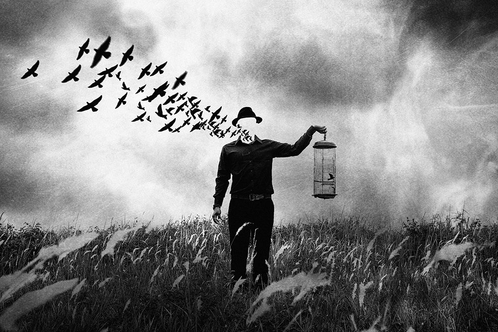 Freedom art print by Jay Satriani for $57.95 CAD