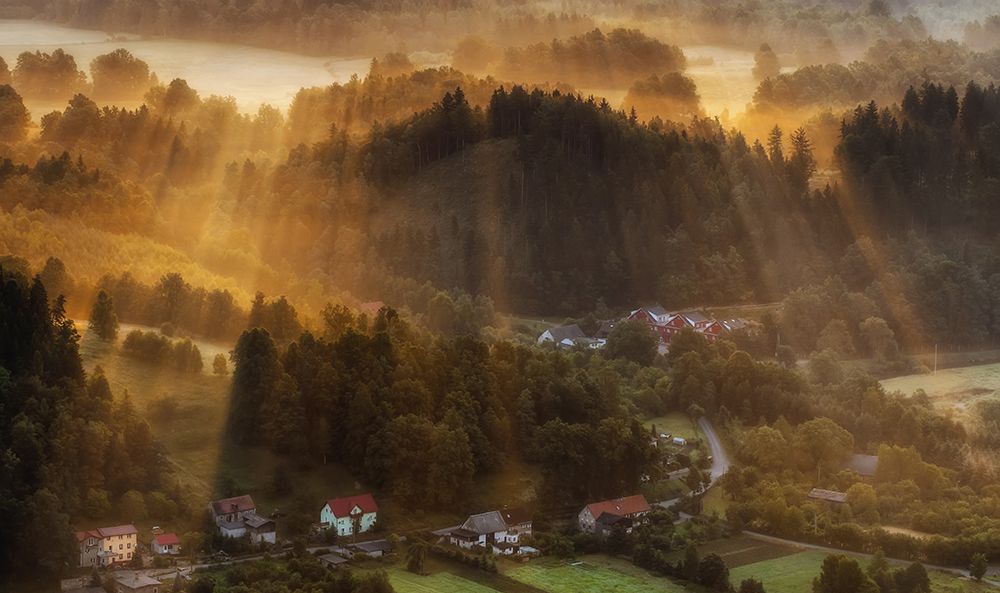 Morning Light art print by Piotr Krol for $57.95 CAD