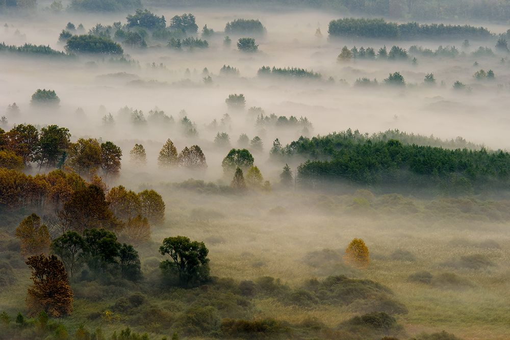 Autumn Dream art print by Roberto Marini for $57.95 CAD