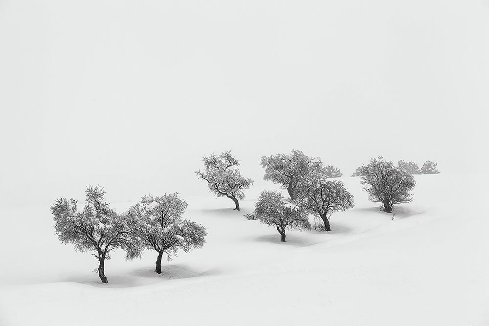 White Carpet art print by Antonio Carrillo Lopez for $57.95 CAD