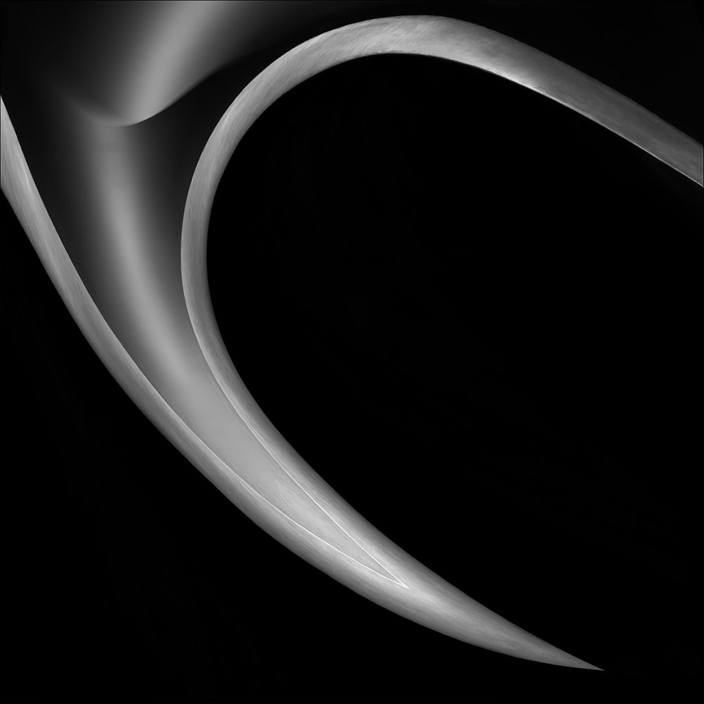 The Horn art print by Gilbert Claes for $57.95 CAD