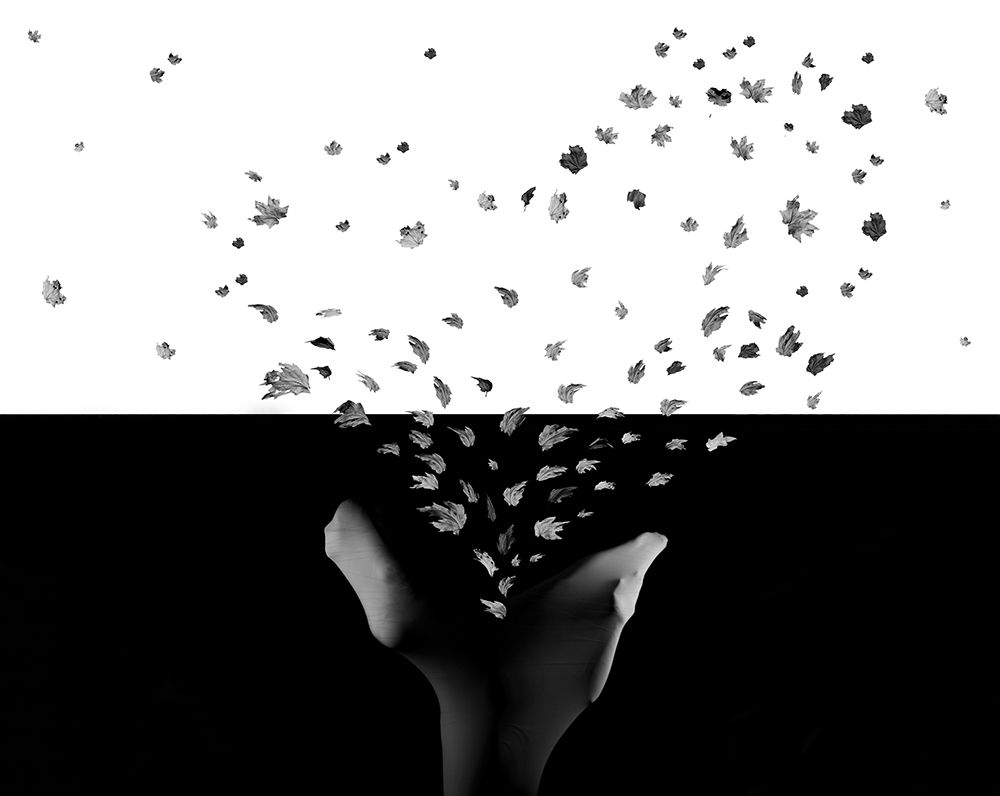 Untitled art print by Maryam Zahirimehr for $57.95 CAD