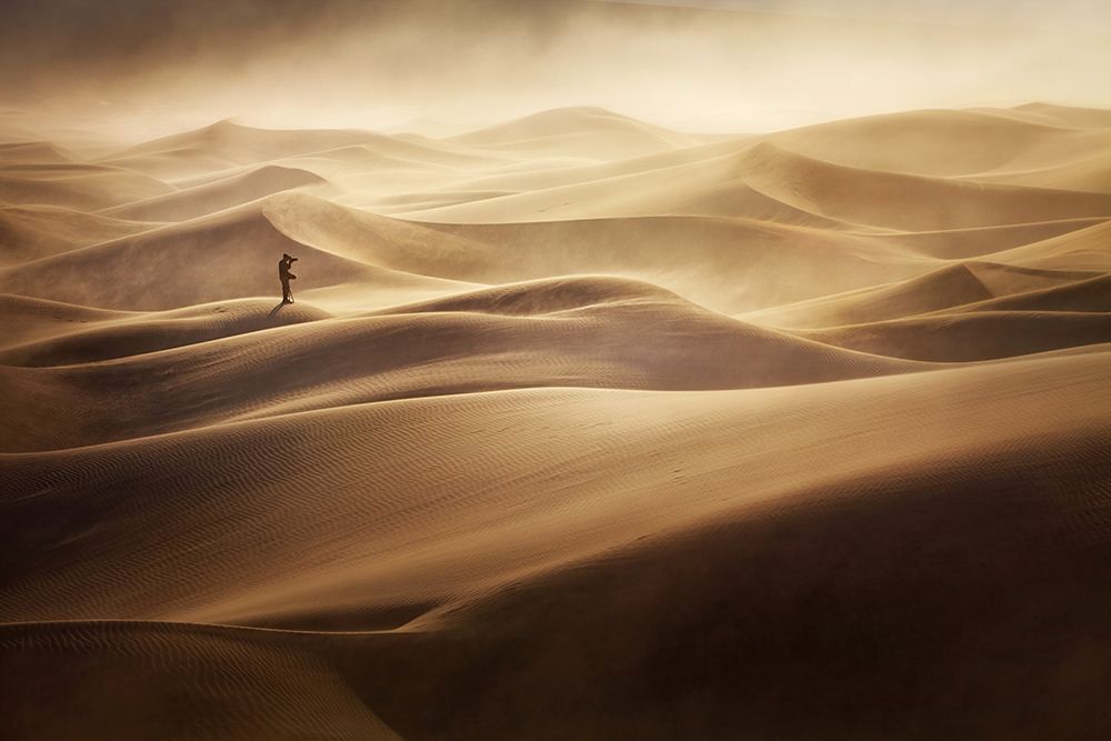 Alone art print by Mirko Vecernik for $57.95 CAD