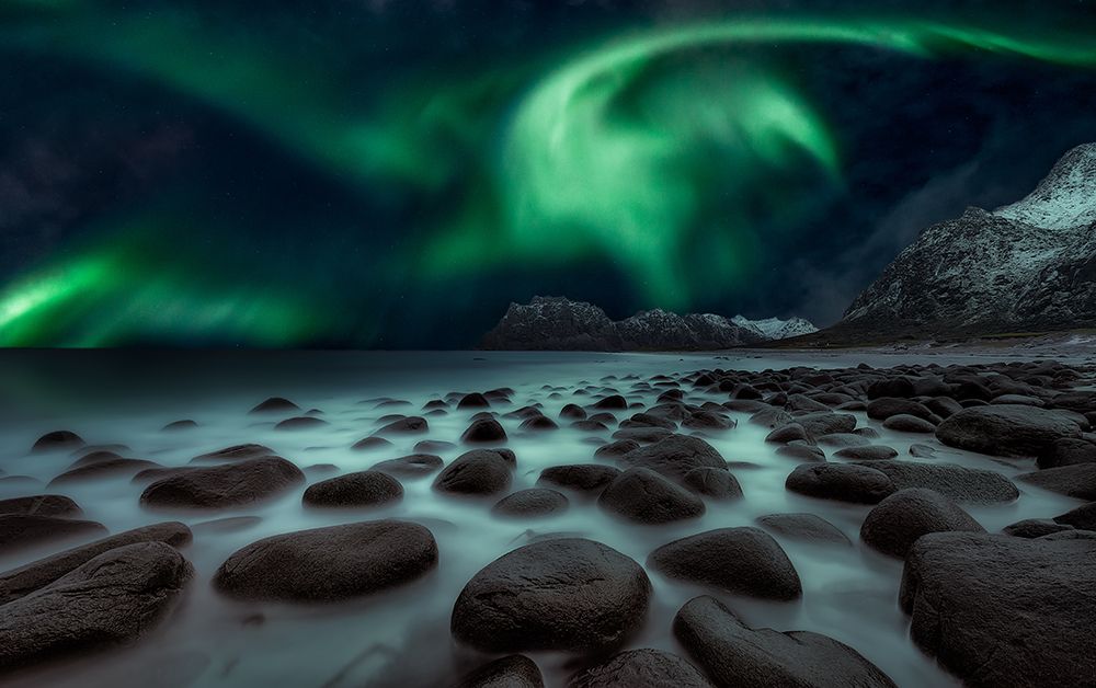 Dragons Fly art print by Javier De La for $57.95 CAD