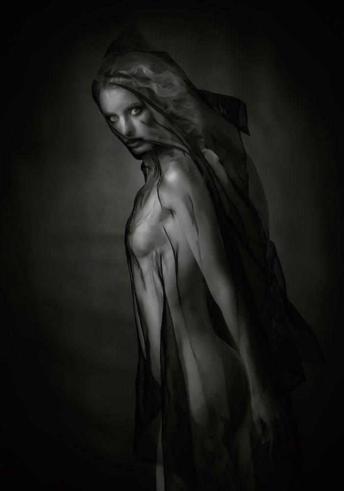 Sheer Black art print by Catchlight Studio for $57.95 CAD