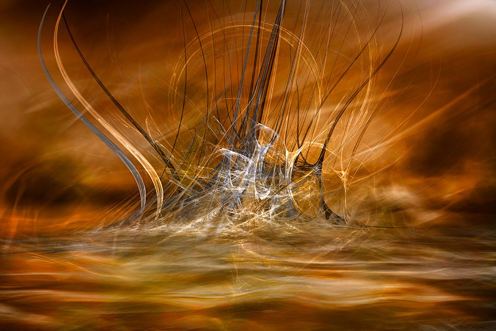 The Rising art print by Willy Marthinussen for $57.95 CAD