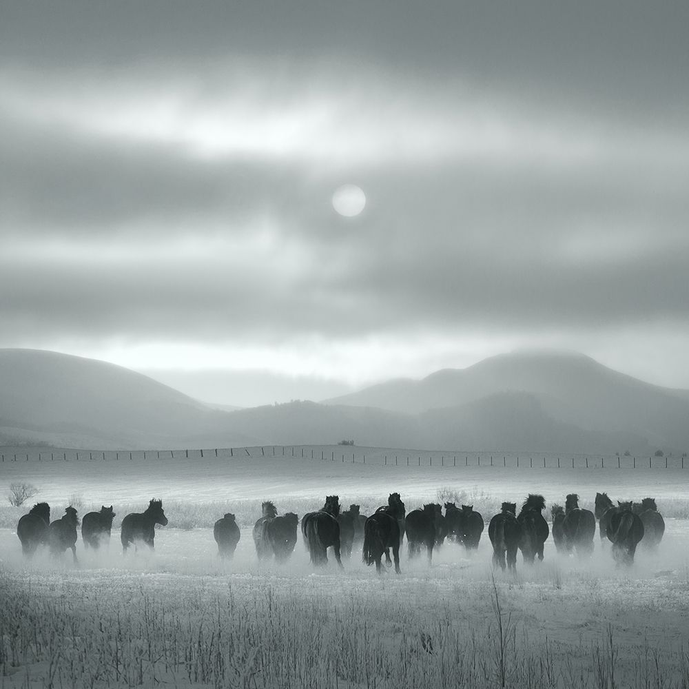 Toward the sun art print by Shu-Guang Yang for $57.95 CAD