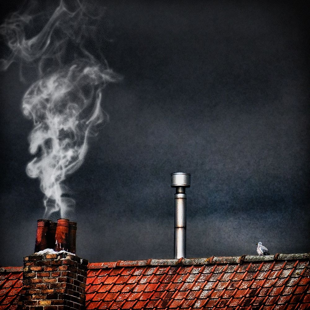 Home Sweet Home art print by Piet Flour for $57.95 CAD