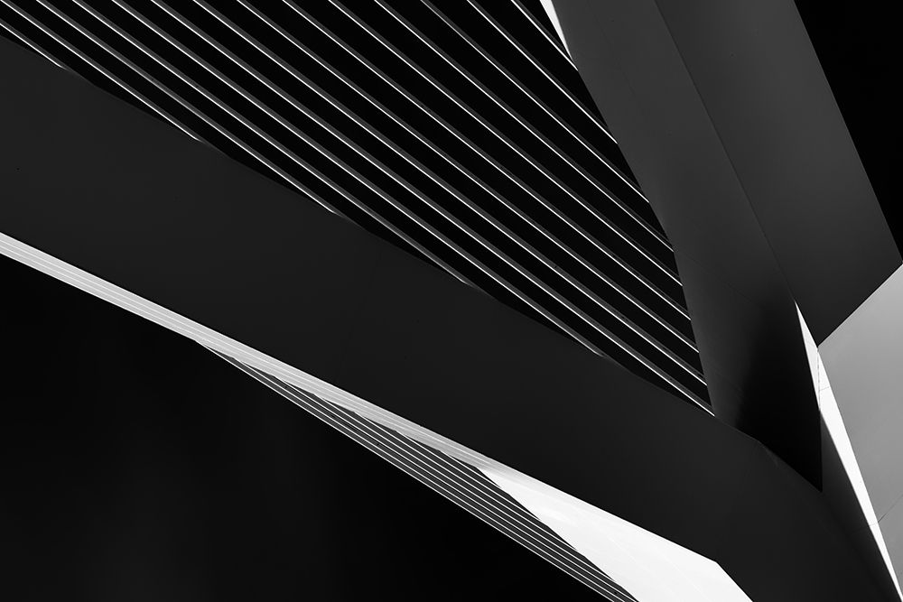 Abstraction Of A Swan art print by Jeroen Van De for $57.95 CAD