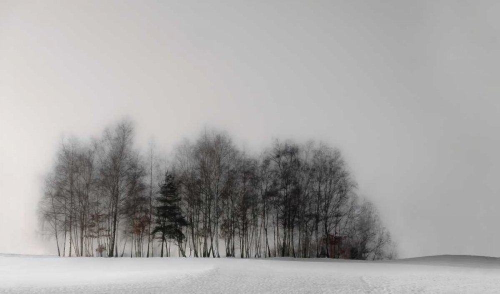 Winter Forest art print by Gilbert Claes for $57.95 CAD