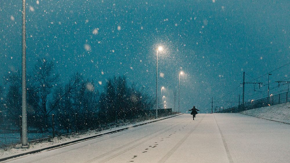 First snow joy art print by Adrian Popan for $57.95 CAD