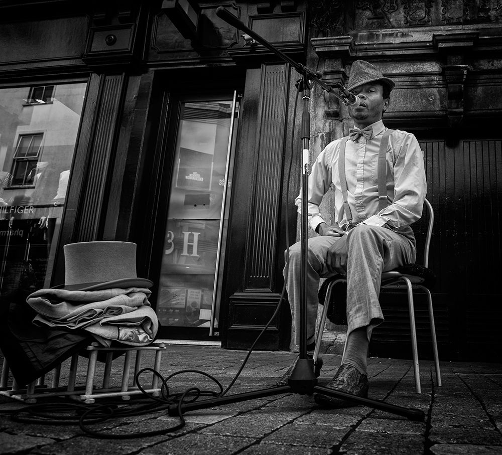 The Singer art print by Jure Kravanja for $57.95 CAD