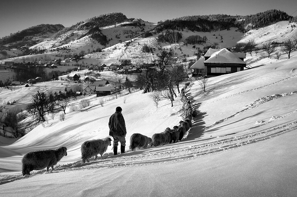 Meandering art print by Ionut Harag for $57.95 CAD