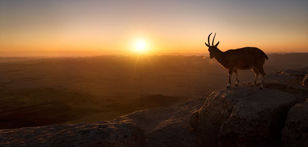 A New Day art print by Nadav Jonas for $57.95 CAD