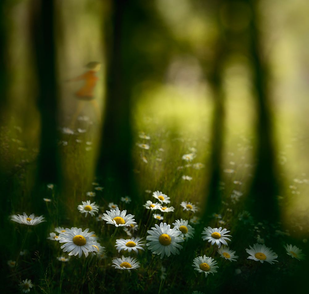 In the woods art print by Shenshen Dou for $57.95 CAD