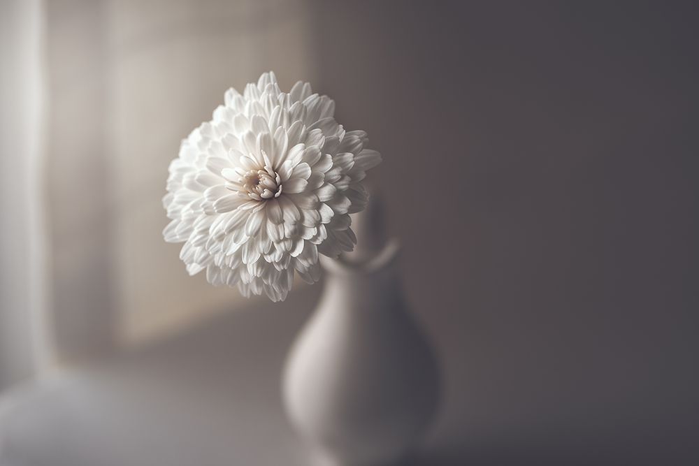 Window Light art print by Jose Antonio Sanchez for $57.95 CAD