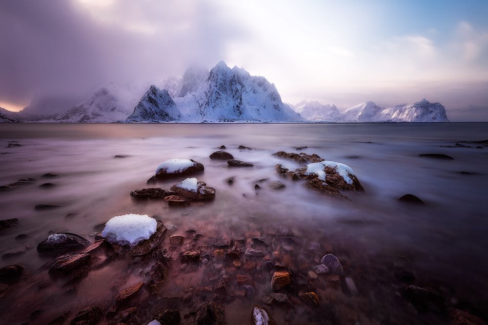 Paradise art print by David Martin Castan for $57.95 CAD