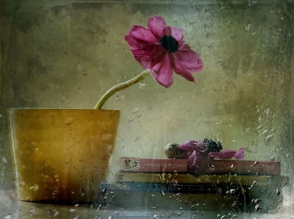 A Day To Stay At Home art print by Delphine Devos for $57.95 CAD