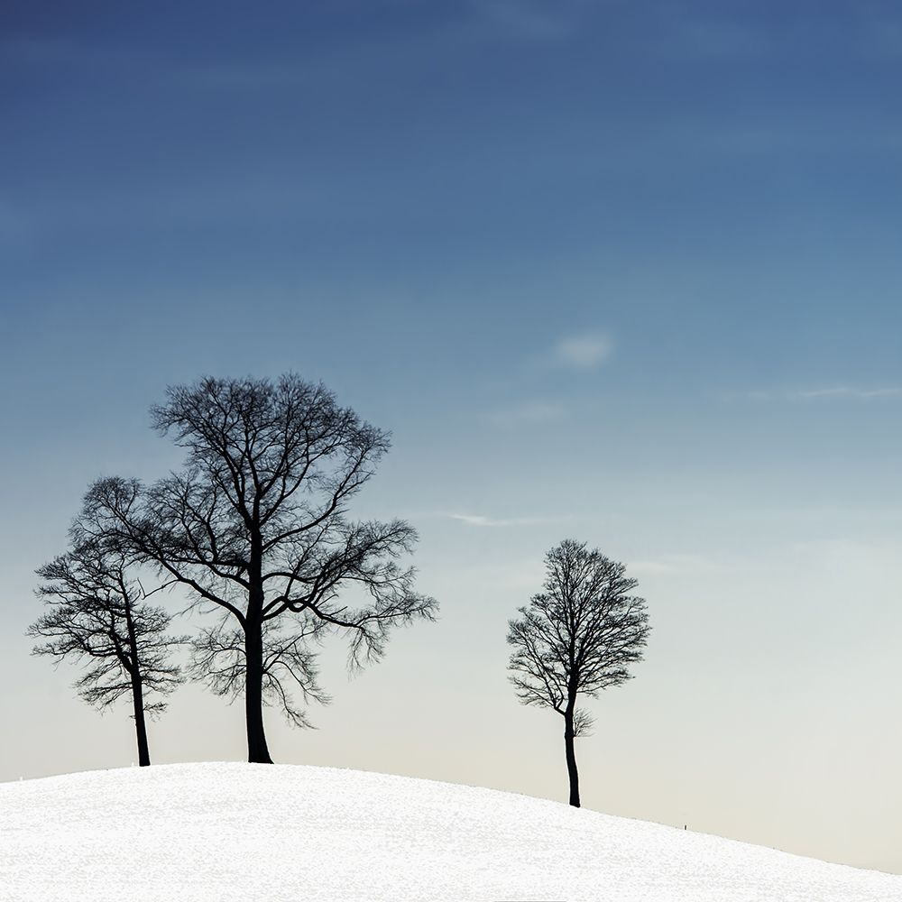winter haiku art print by Piet Flour for $57.95 CAD
