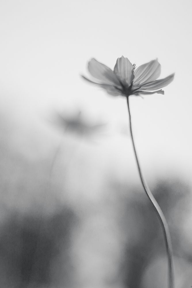 An Ordinary Dream art print by Udayan Ghosh for $57.95 CAD