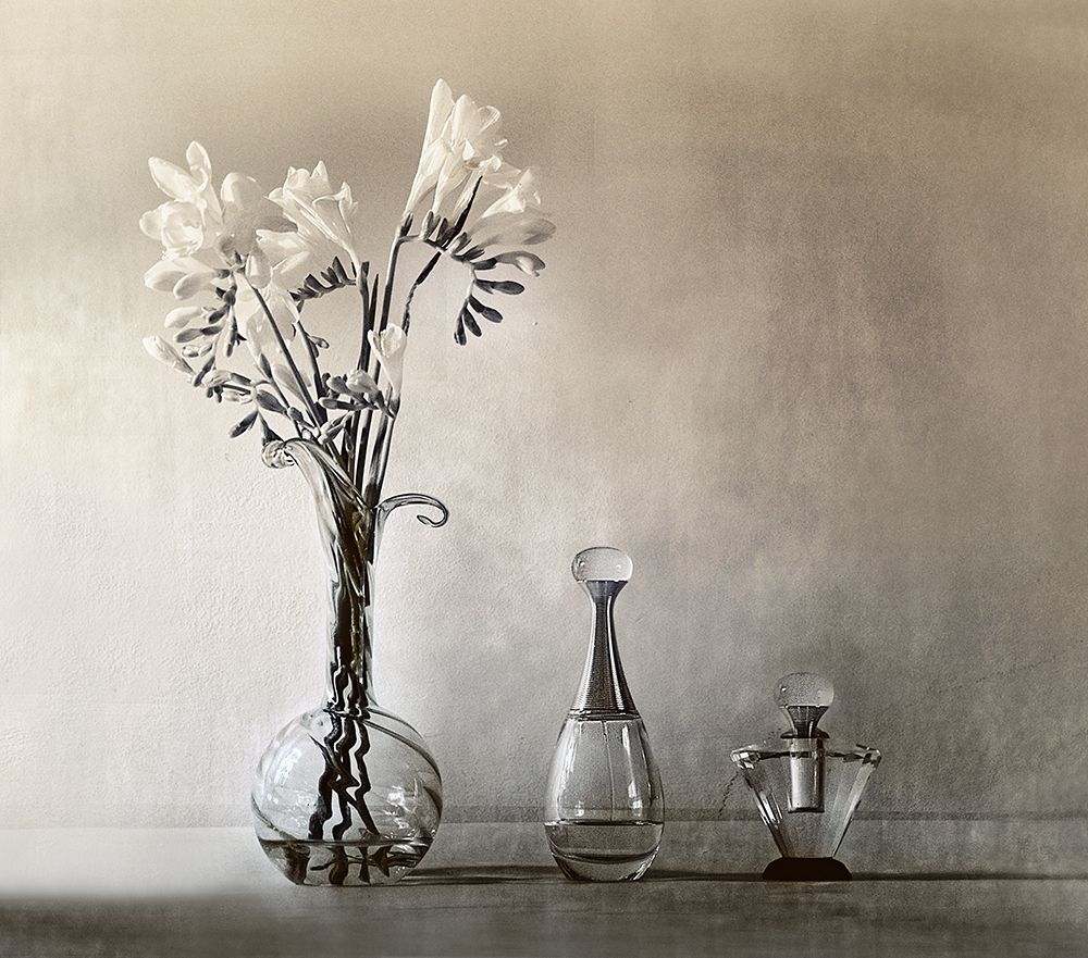 Untitled art print by Elena Arjona for $57.95 CAD