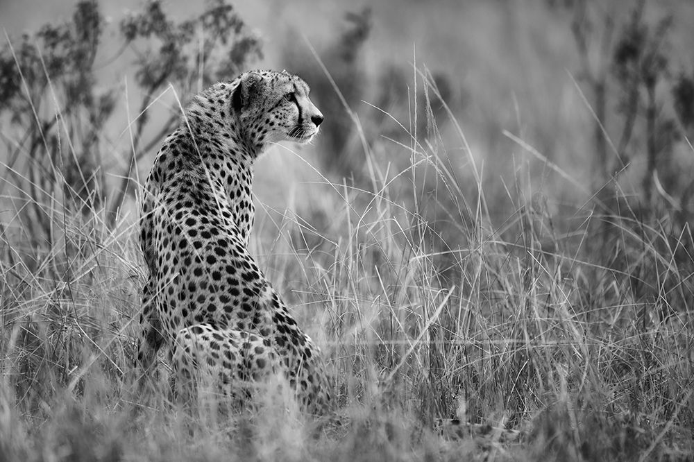 Dotted Beauty art print by Mohammed Alnaser for $57.95 CAD