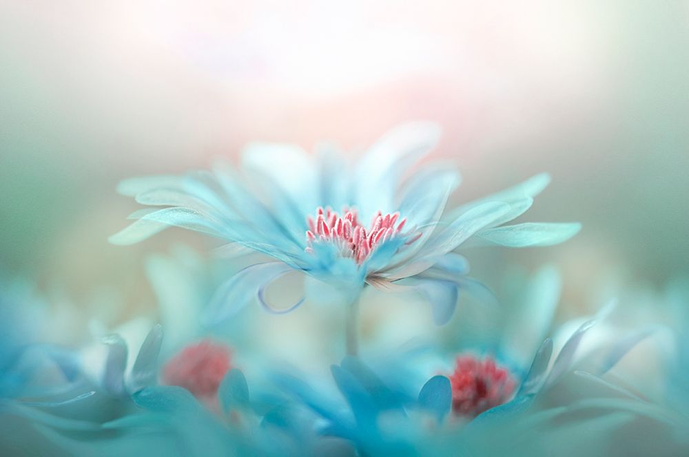 Fantasy art print by Jacky Parker for $57.95 CAD