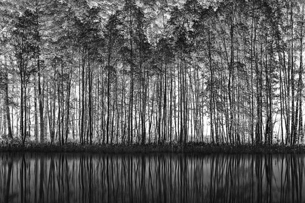Pointillism Nature art print by Roswitha Schleicher-Schwarz for $57.95 CAD