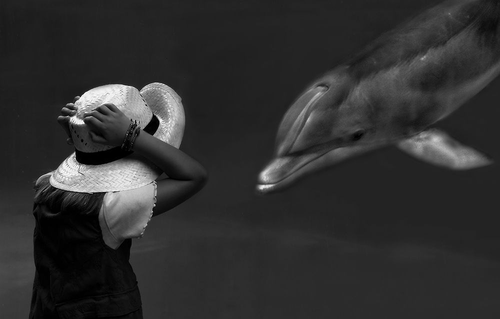 Close Encounter ... art print by Yvette Depaepe for $57.95 CAD