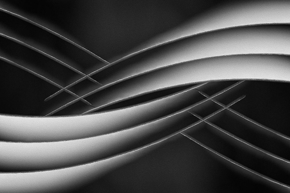 interlaced art print by Jutta Kerber for $57.95 CAD