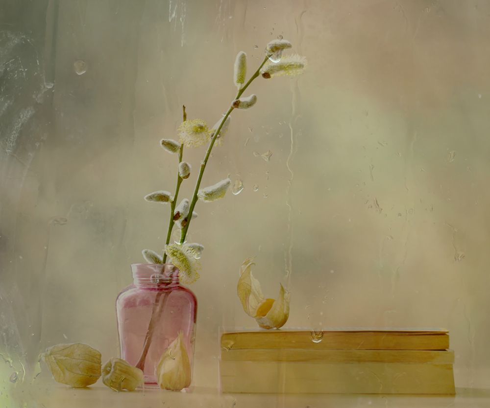 Physalis art print by Delphine Devos for $57.95 CAD
