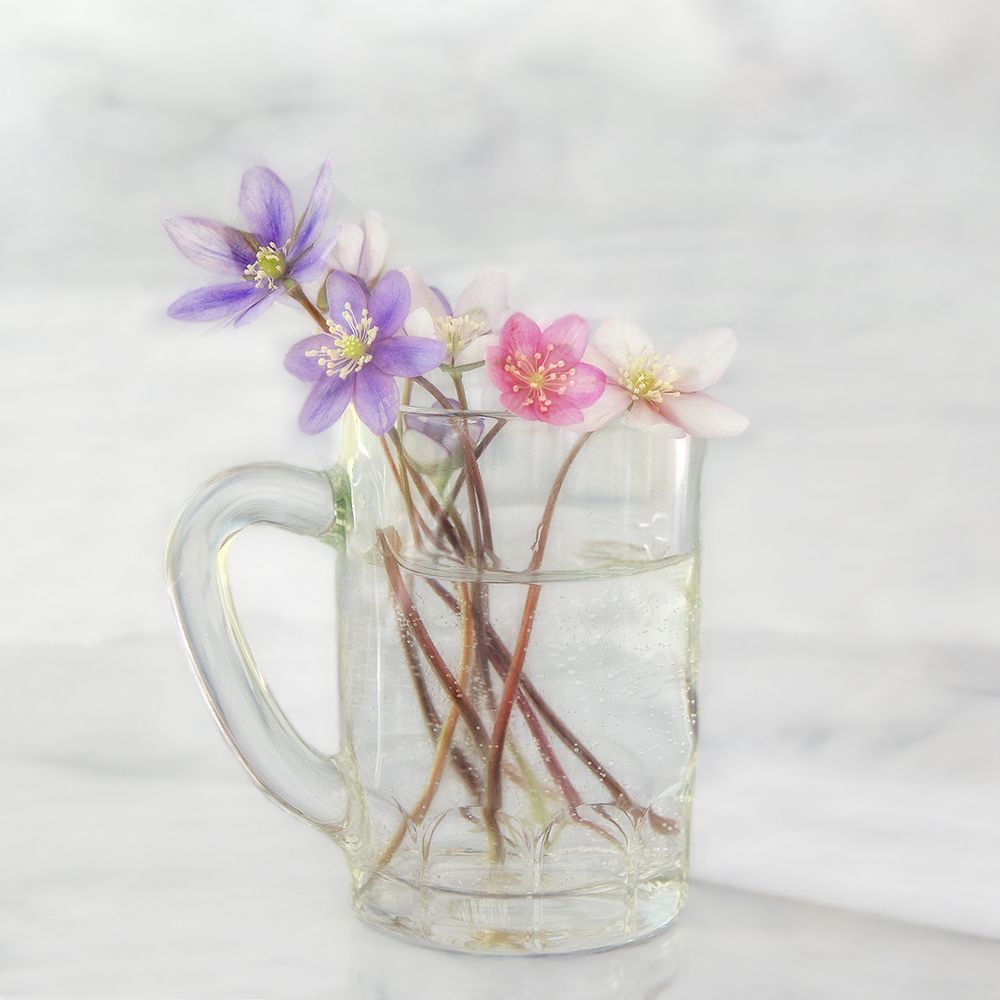 Anemones art print by Marie-anne Stas for $57.95 CAD
