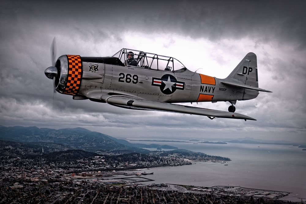 Over Under art print by Thomas Mccleave for $57.95 CAD