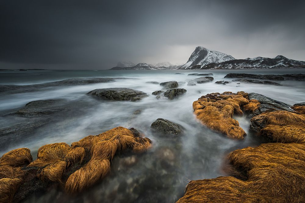 Stormy art print by Raymond Hoffmann for $57.95 CAD