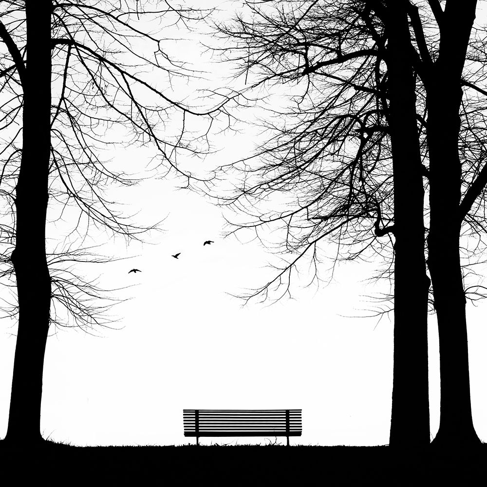 Solitudini 4 art print by Massimo Della Latta for $57.95 CAD